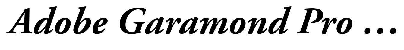 Adobe Garamond Pro Bold Italic